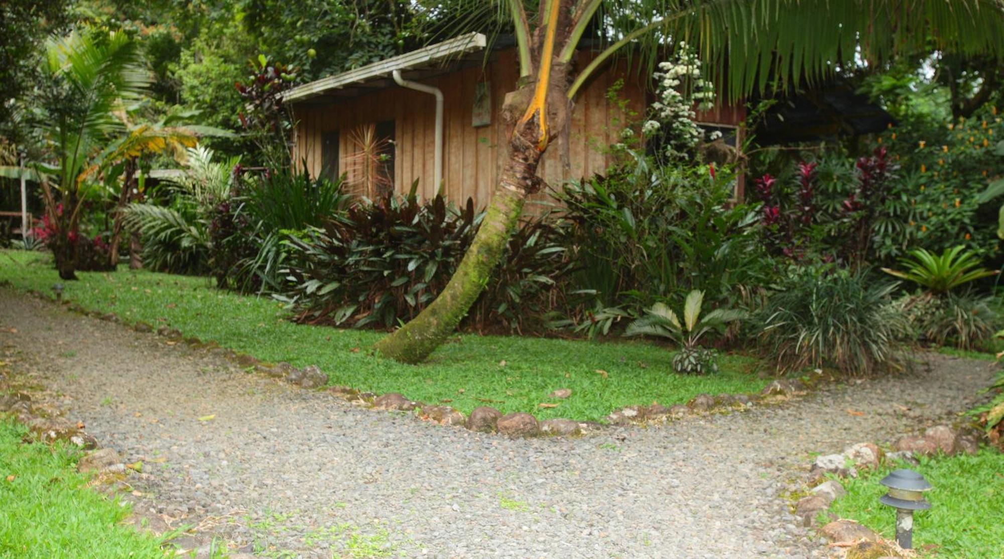 Casa Rio Blanco Eco Friendly B&B Guápiles Exteriér fotografie