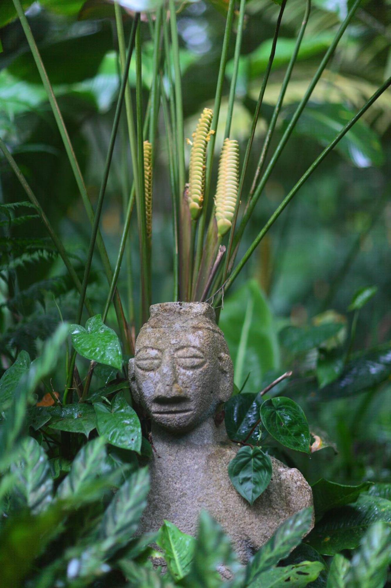 Casa Rio Blanco Eco Friendly B&B Guápiles Exteriér fotografie