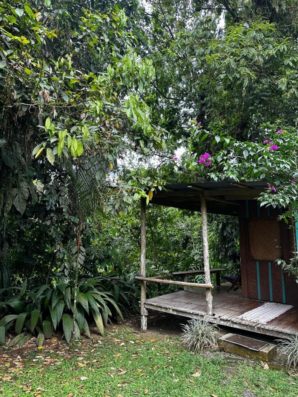 Casa Rio Blanco Eco Friendly B&B Guápiles Exteriér fotografie