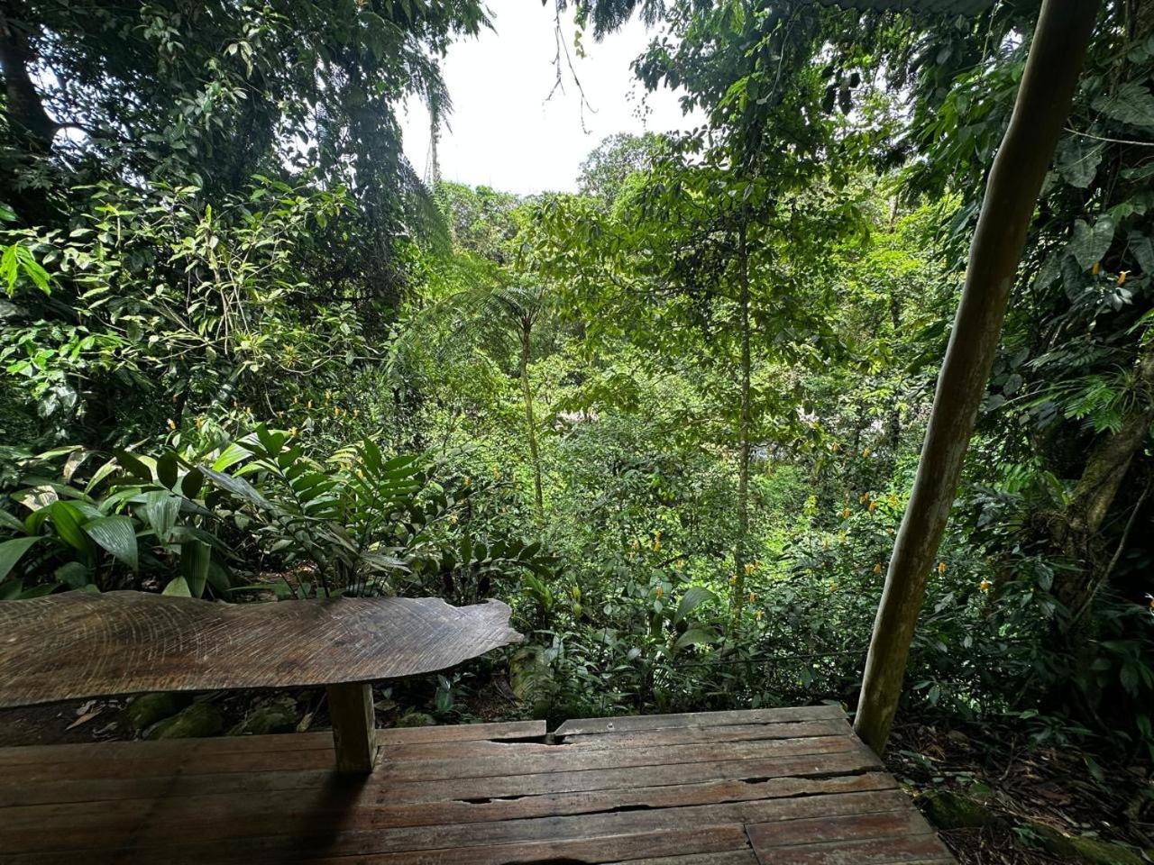 Casa Rio Blanco Eco Friendly B&B Guápiles Exteriér fotografie