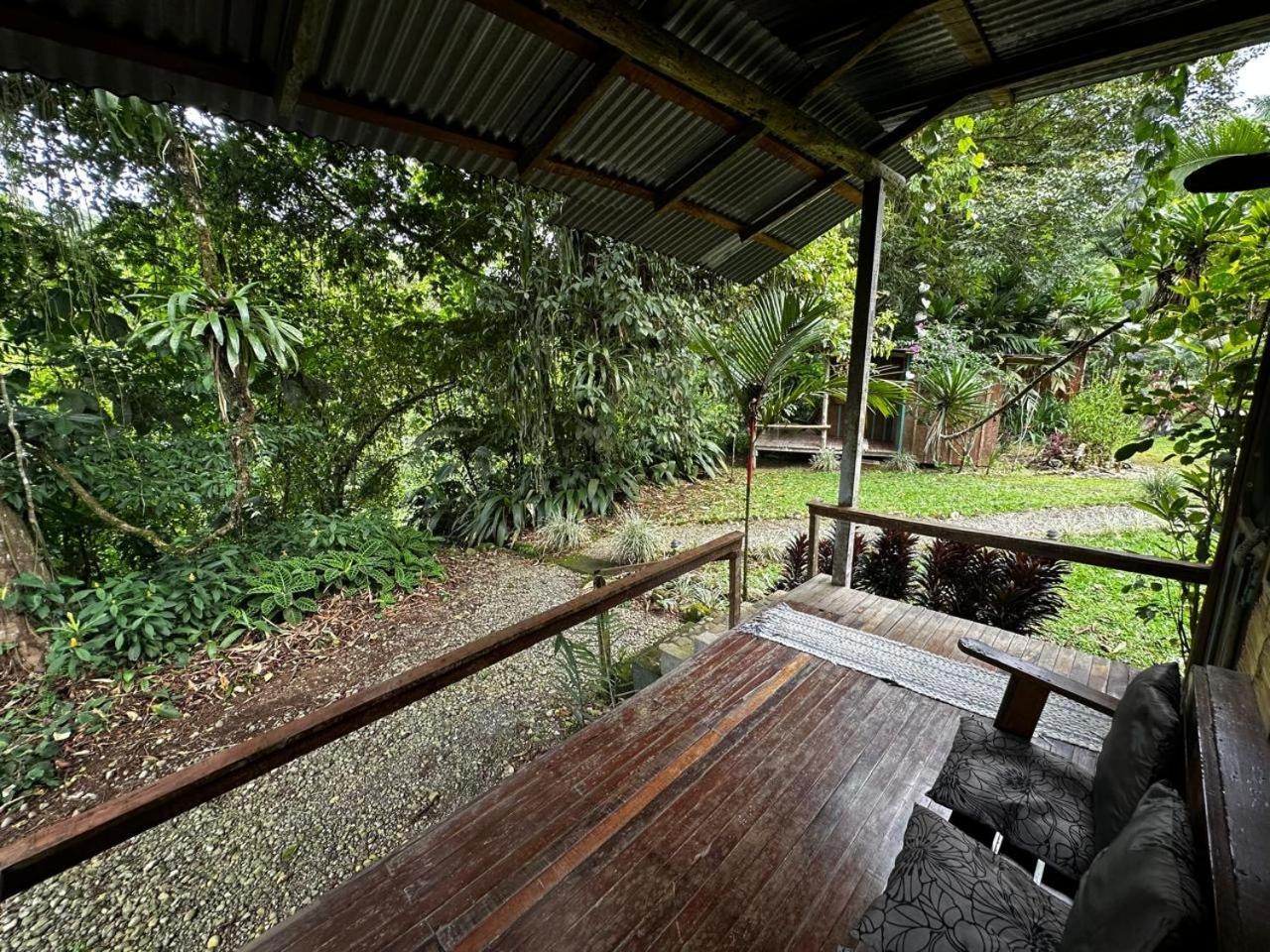 Casa Rio Blanco Eco Friendly B&B Guápiles Exteriér fotografie