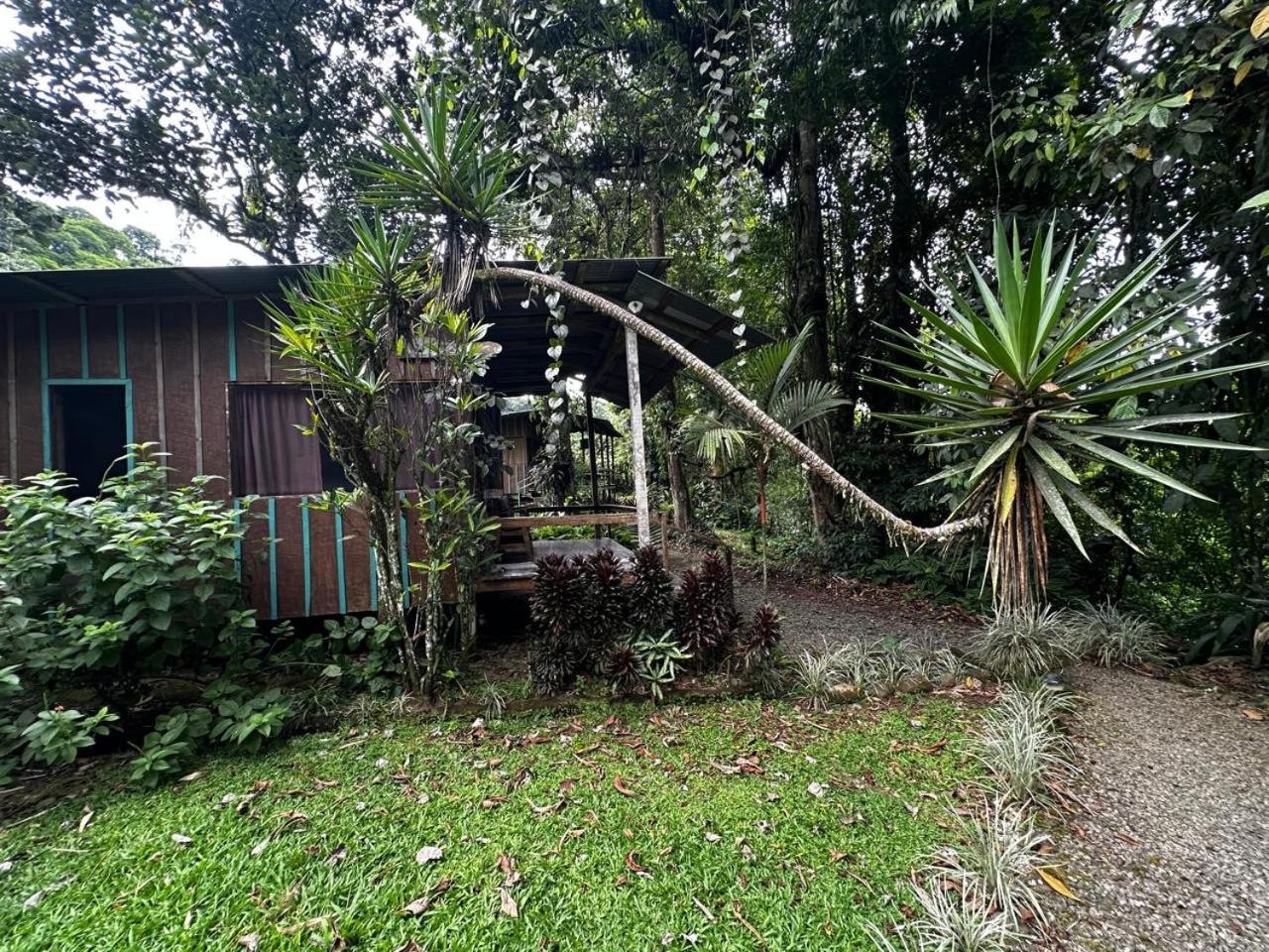 Casa Rio Blanco Eco Friendly B&B Guápiles Exteriér fotografie