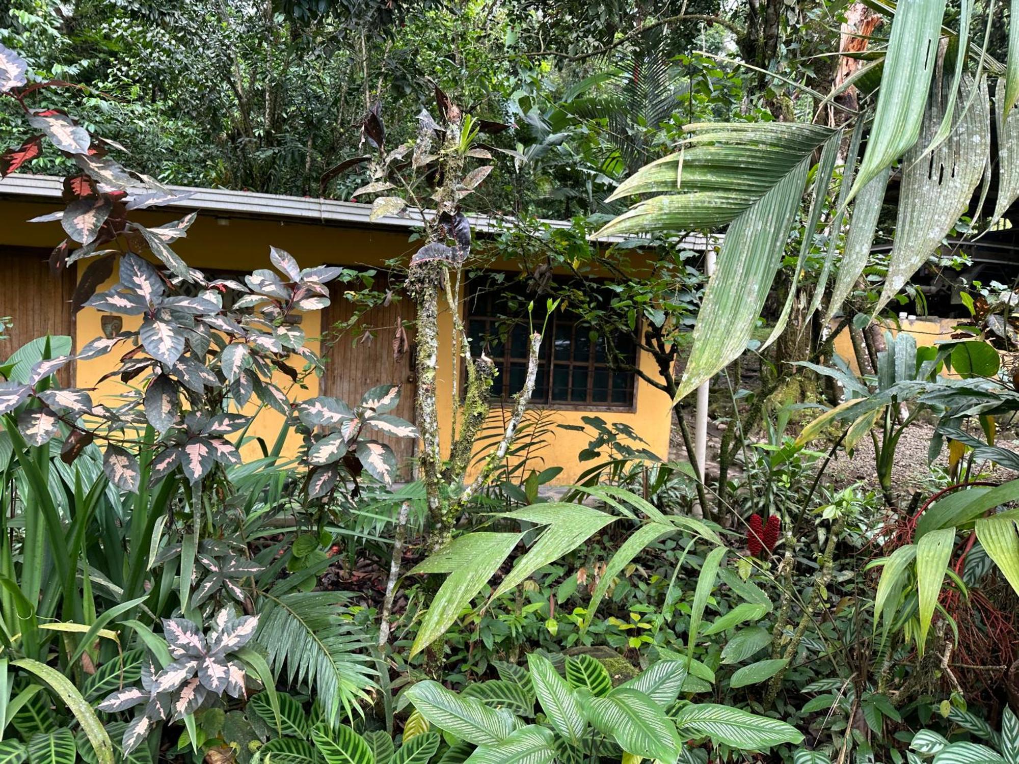 Casa Rio Blanco Eco Friendly B&B Guápiles Exteriér fotografie