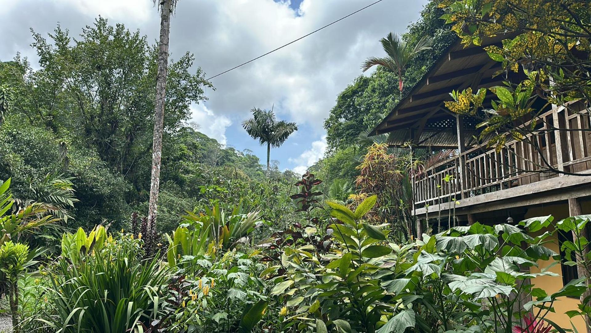 Casa Rio Blanco Eco Friendly B&B Guápiles Exteriér fotografie