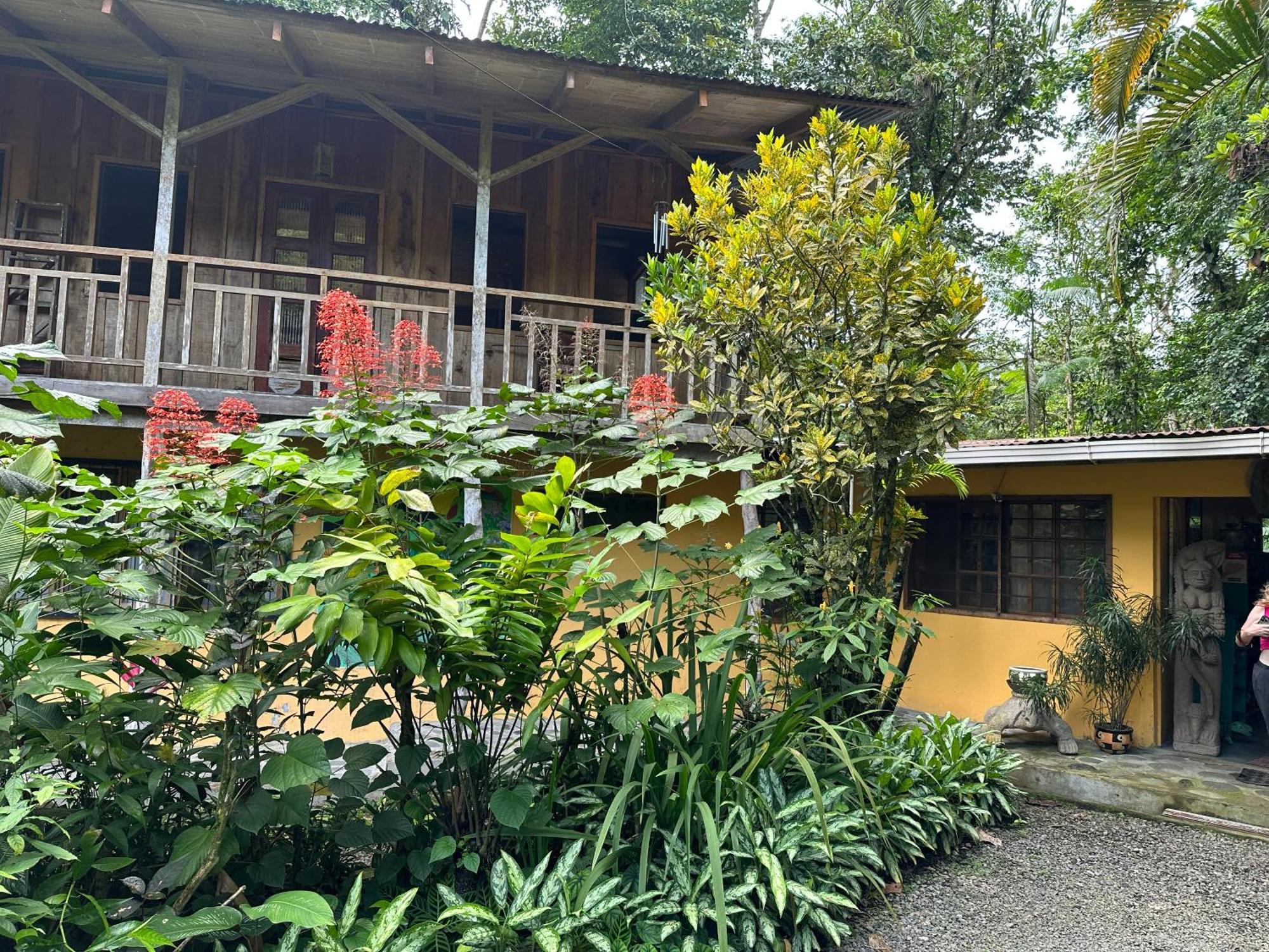 Casa Rio Blanco Eco Friendly B&B Guápiles Exteriér fotografie