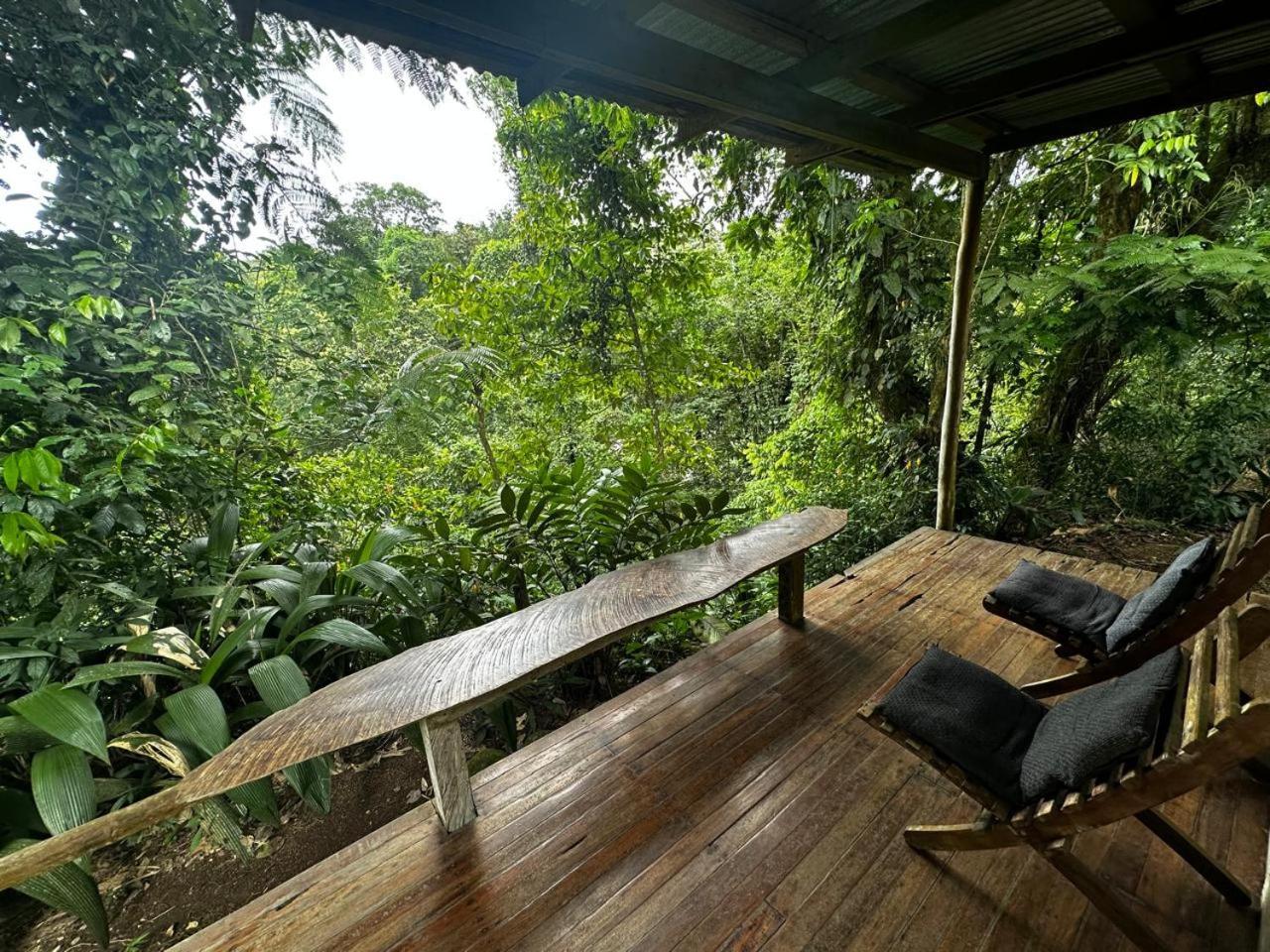 Casa Rio Blanco Eco Friendly B&B Guápiles Exteriér fotografie