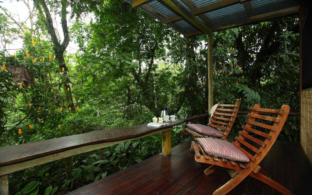 Casa Rio Blanco Eco Friendly B&B Guápiles Exteriér fotografie